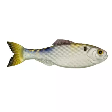 6th Sense Panorama 2 4K Shad