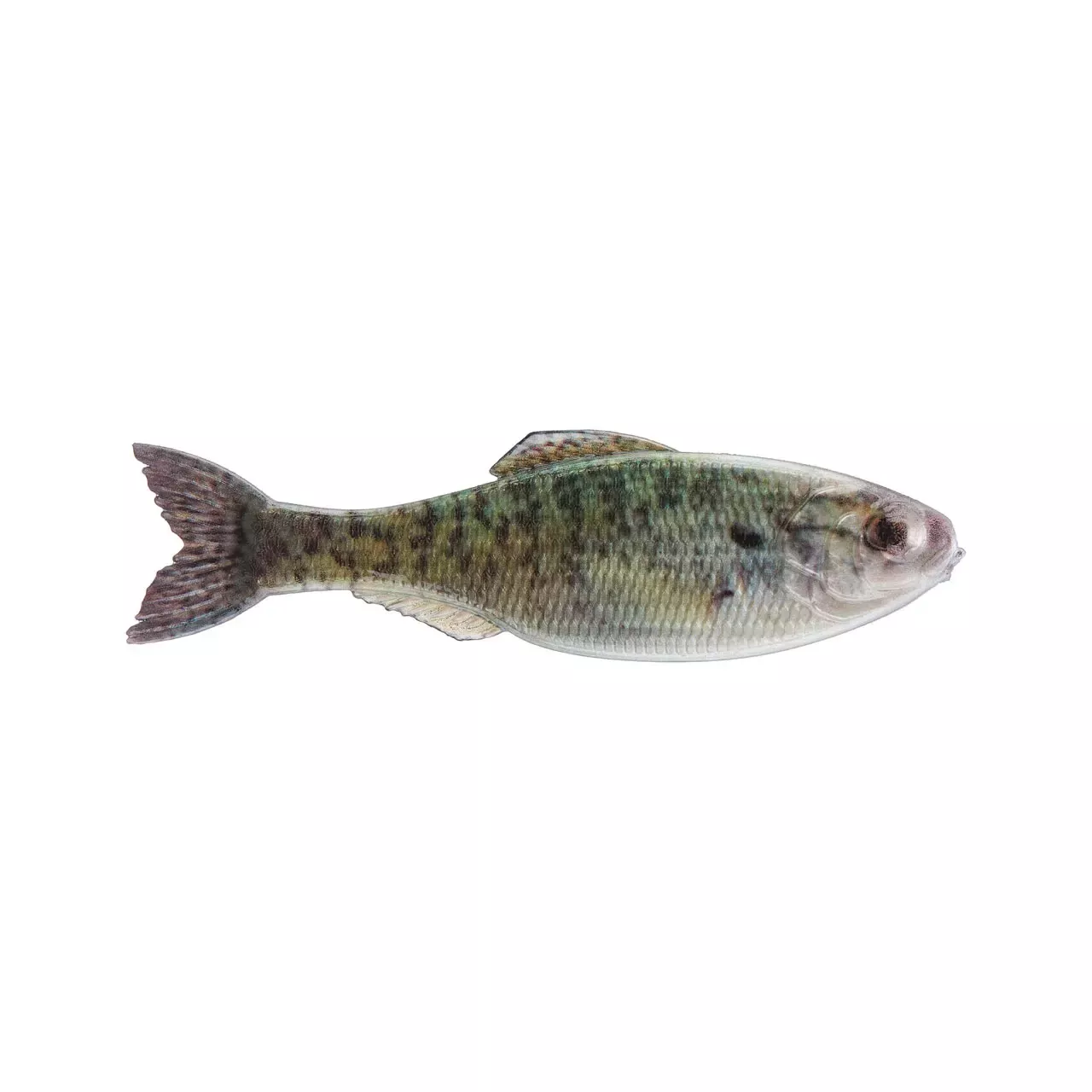 6th Sense Panorama 2.8" Live Crappie