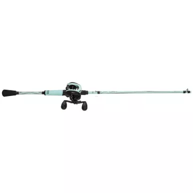 Abu Garcia Revo X BC WINN Combo