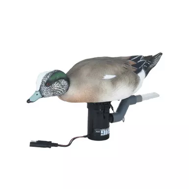 AVERY GHG Finisher Swimmer Wigeon Drake Decoy (78004)