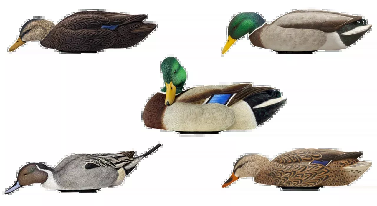 Avian X (gsm) Power Shaker, Avian Avx-psh-mhsf Power Shaker/mallrd Hen Surfd