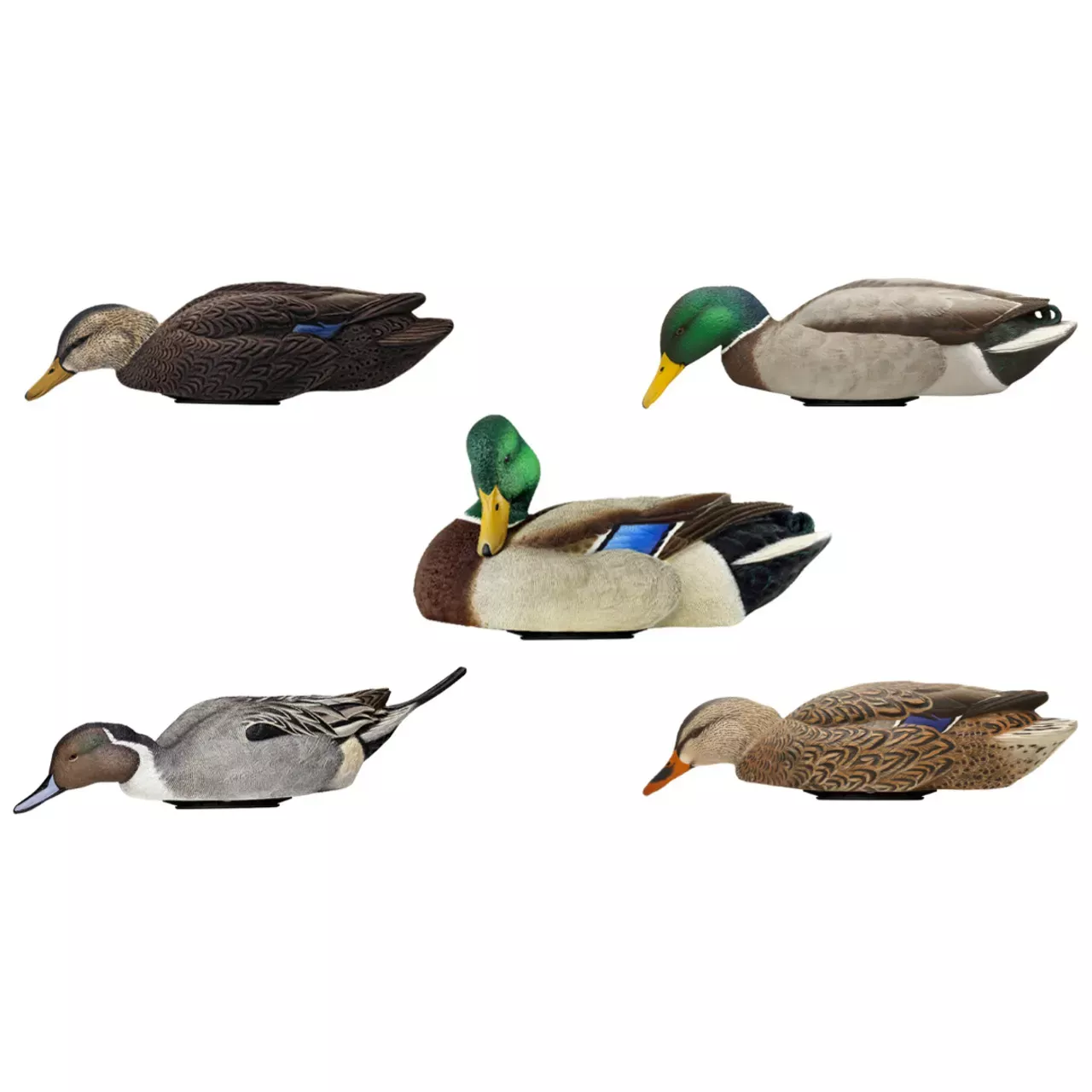 Avian-X Power Swimmer – Mallards