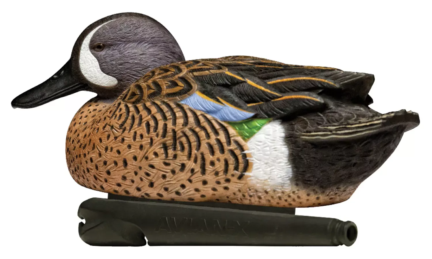 Avian X Topflight Teal Species Multi-Color
