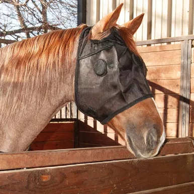 CLASSIC EQUINE MagNTX Mask (EM22MASK)