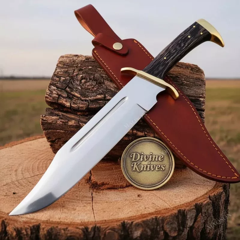 Collectible D-Guard Bowie KnifeHandcrafted Display Piece with Polished Blade