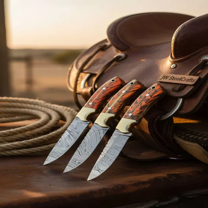 Damascus Knife Set of 3, 8 Wood Handle