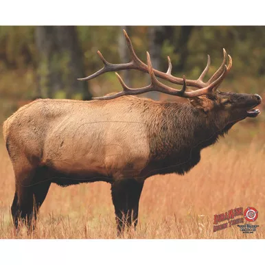 DuraMesh DM206 Archery Target Elk, 1.25 x 32 Inches, Brown