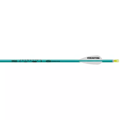 Easton Genesis Arrows 1820, 6 Pack