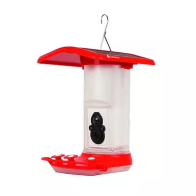 Feather Snap Hummingbird Feeder