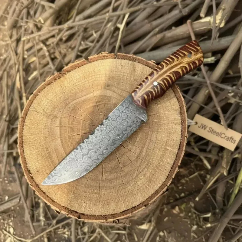 Fixed Blade Knife Damascus Steel Straight Back Blade Red Pine cone Handle