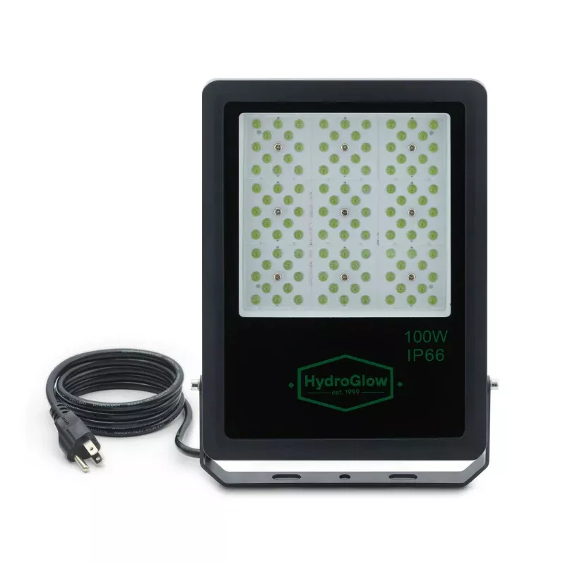 FL100G Above-Water LED Floodlight-Green