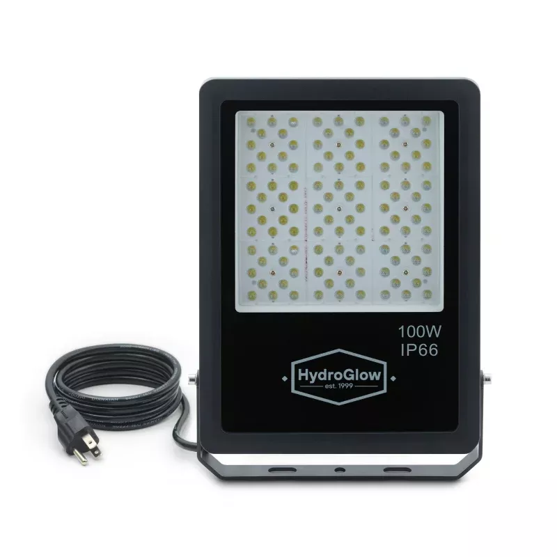 FL100W Above-Water LED Floodlight-White