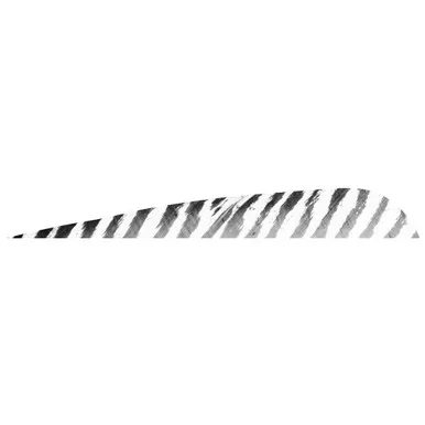 Gateway Barred Feathers 5 Inches, RW, 50 Pack