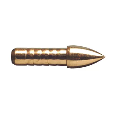 Gold Tip GLU2468012 Glue In Points .246 80 Grain, Silver, 12 Pack
