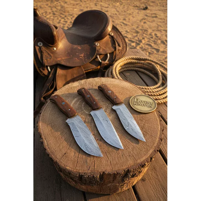 Handmade Rosewood Handle Damascus Chef Knife Set3 Pieces