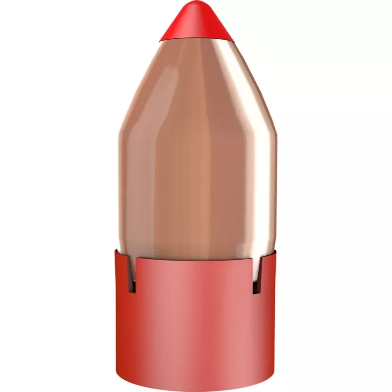 Hornady Bore Driver Muzzleloader Bullet 50 cal. 290 gr. Bore Driver FTX 20 rd.