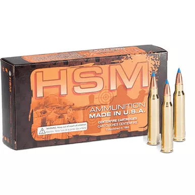 HSM 204R3N 204Ruger 32gr BlitzKing 20 Per Box/20 Case