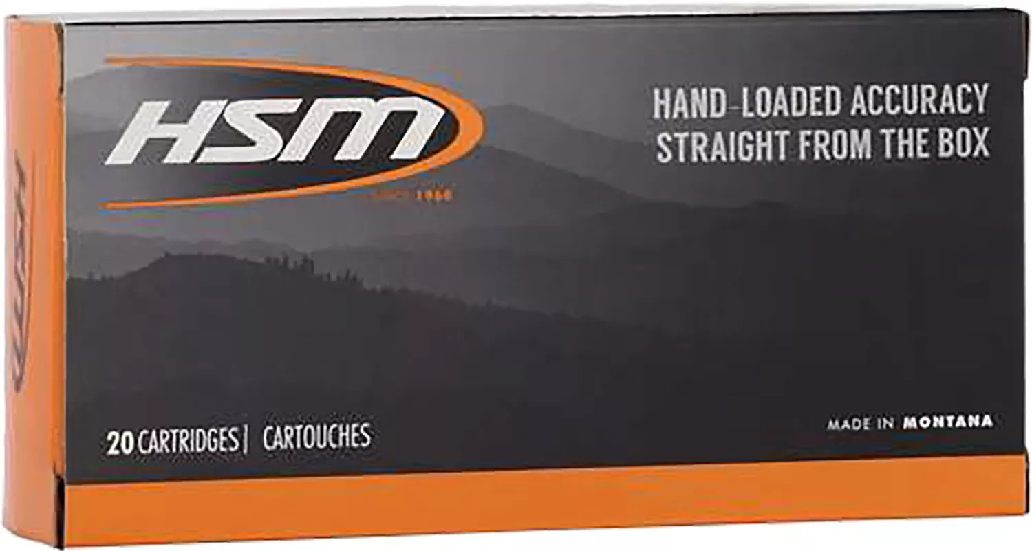 HSM 45-70 Gov Ammo 300gr Jacketed Hollow Point 20 Rounds 457015N