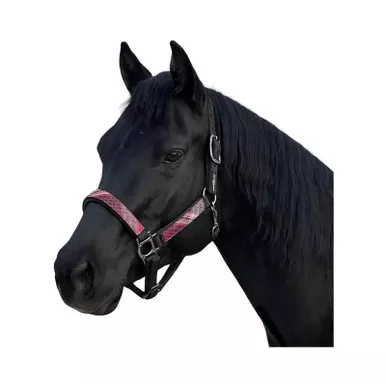 KENSINGTON PROTECTIVE PRODUCTS Premium Nylon Halter (KHS)