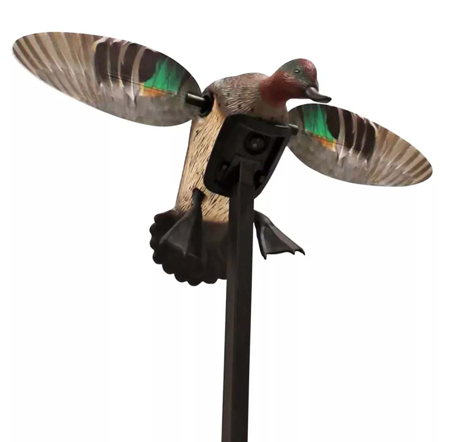 Mojo Outdoors Elite Series Green Winged Teal Duck Species Natural Molded Plastic Features Remote Compatible