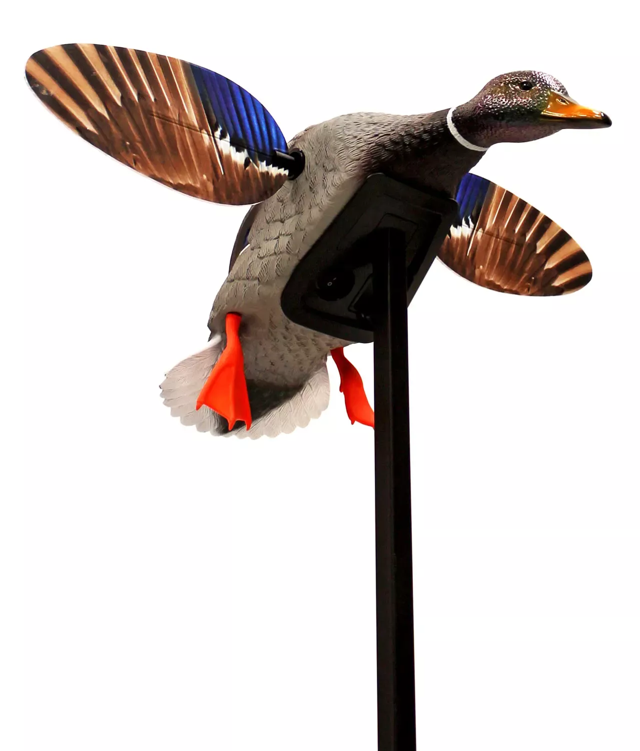 Mojo Outdoors Elite Series Mini Mallard Drake Species Multi Color Plastic