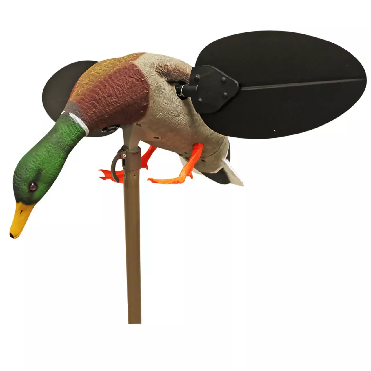 Mojo Outdoors Mallard Drake Decoy