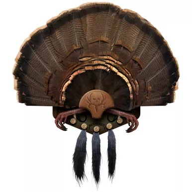 Mountain Mikes MMR BC Beard Collector Display, Brown, 5 Beards