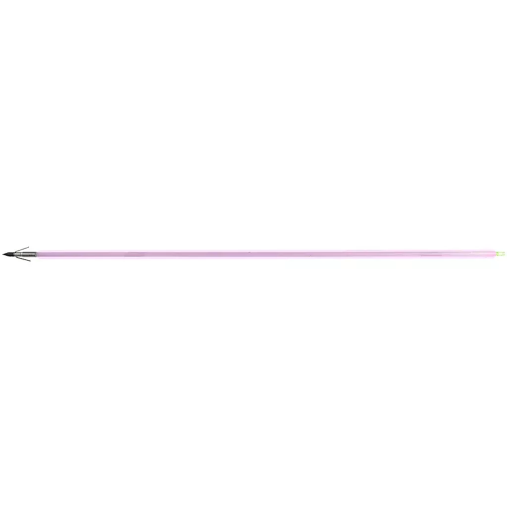 Muzzy Saber Fish ArrowCarp Point