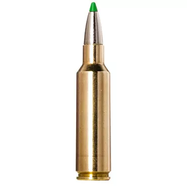 Norma Ammunition 20177512 Ecostrike 300WSM 165gr 20 Per Box/10 Case