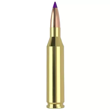 Nosler 40041 243Win 70gr Ballistic Tip Varmint 20 Per Box/10 Case