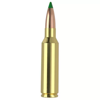 Nosler 61035 300WSM 165gr Ballistic Tip 20 Per Box/10 Case
