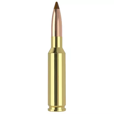 Nosler 61053 6.5x55Swedish 140gr Ballistic Tip 20 Per Box/10 Case
