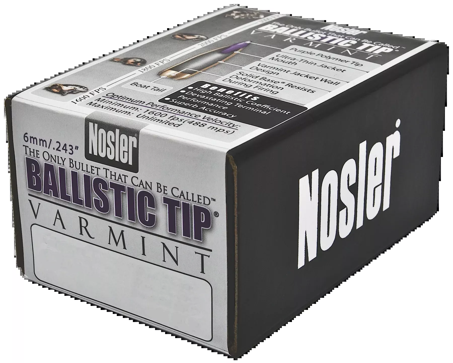 Nosler Bullets 6mm .243 - 80gr Ballistic Tip 100ct