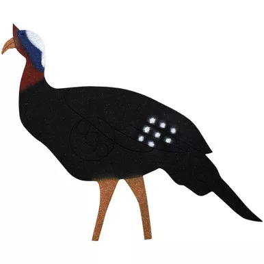OnCore Targets T-1 Archery Target Turkey, Black