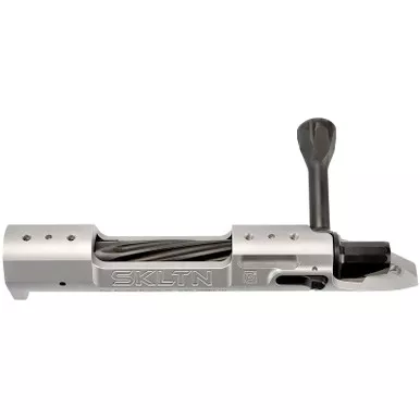 P2 IN-00285 SKLTN LA LH STANDARD TI