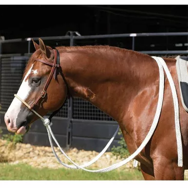 PROFESSIONAL'S CHOICE Ranch Heavy Oiled 5/8" Loping Hackamore with Mule Tape Reins (RH8167)