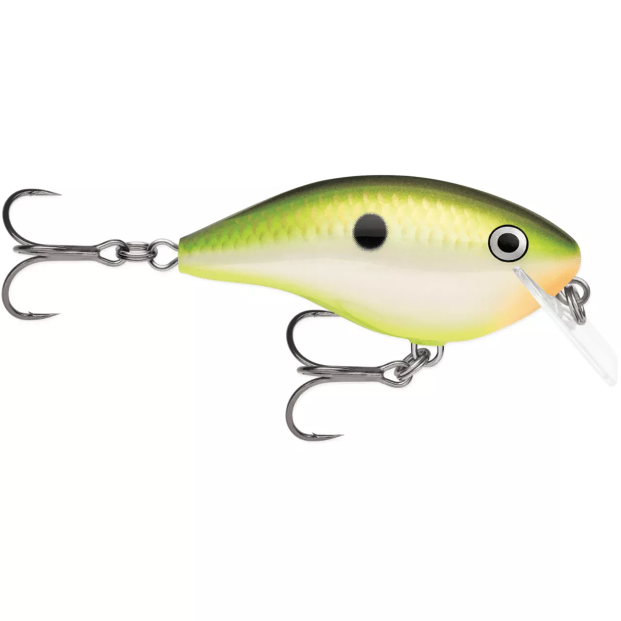 Rapala OG Big Rocco 6 Crankbait – 5/8 oz. Bruised Citrus Shad