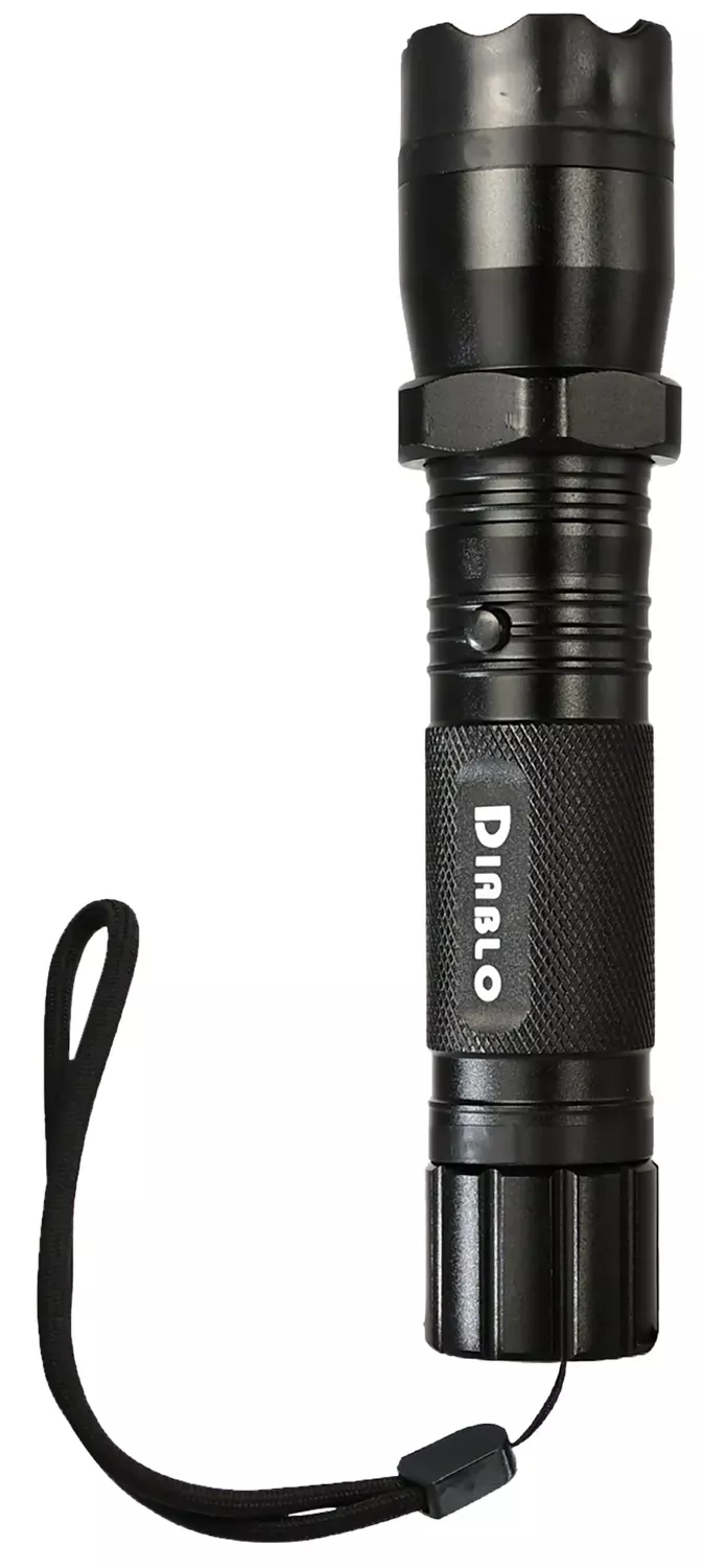 Skyline USA Diablo Stun Gun with Flashlight Black TLSGGDD