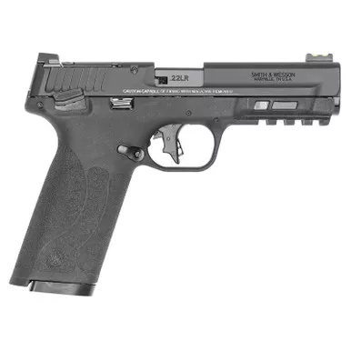 Smith & Wesson 14313 M&P 22x 22 LR 10+1 4.10"