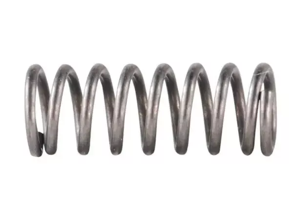 Sons of Liberty Bolt Catch Spring