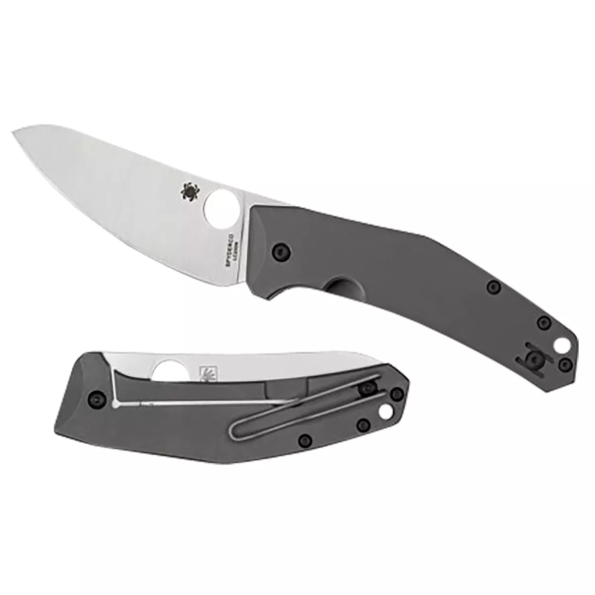 Spyderco SpydieChef Salt 3.32" Folding Plain LC200N Blade Satin Titanium Handle Includes Pocket Clip