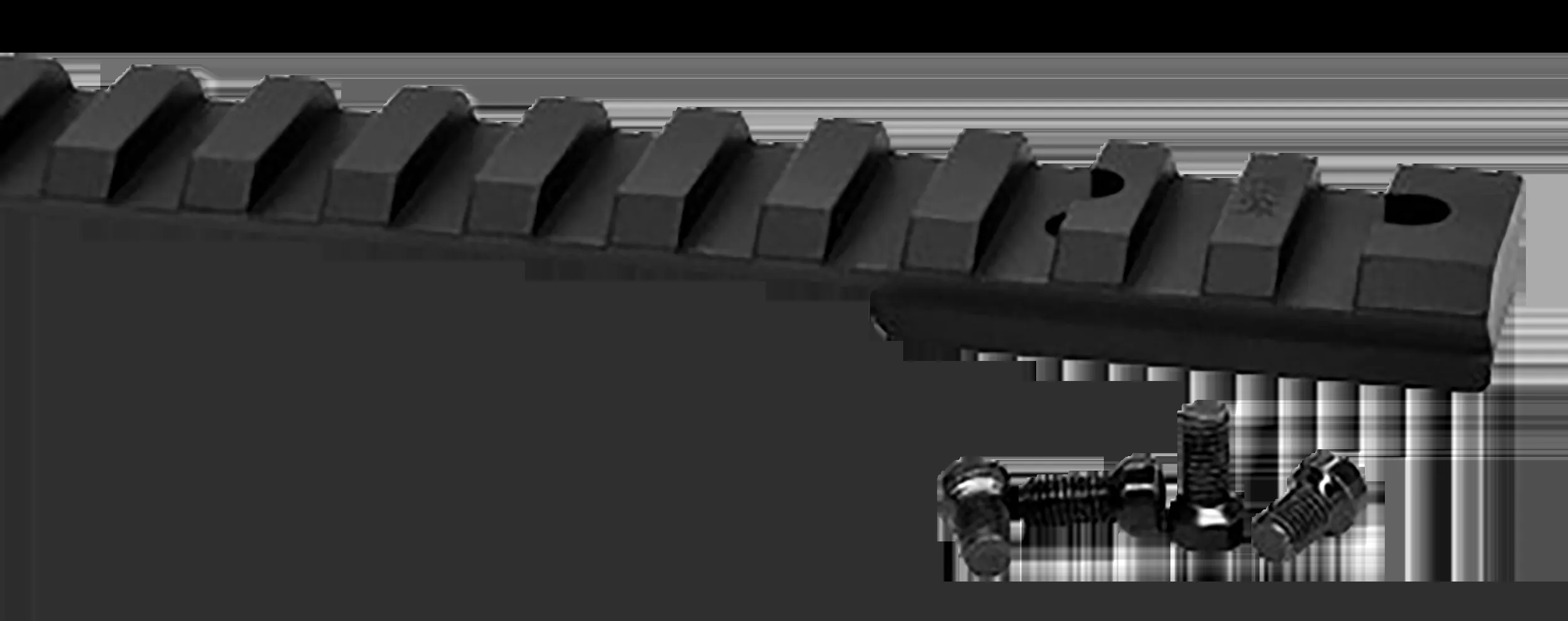 Warne Ruger 10/22 Vapor Picatinny Rail Black