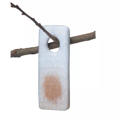 Wildlife Research 370 Pro-Wick Scent Dispensers, White, 4 Pack