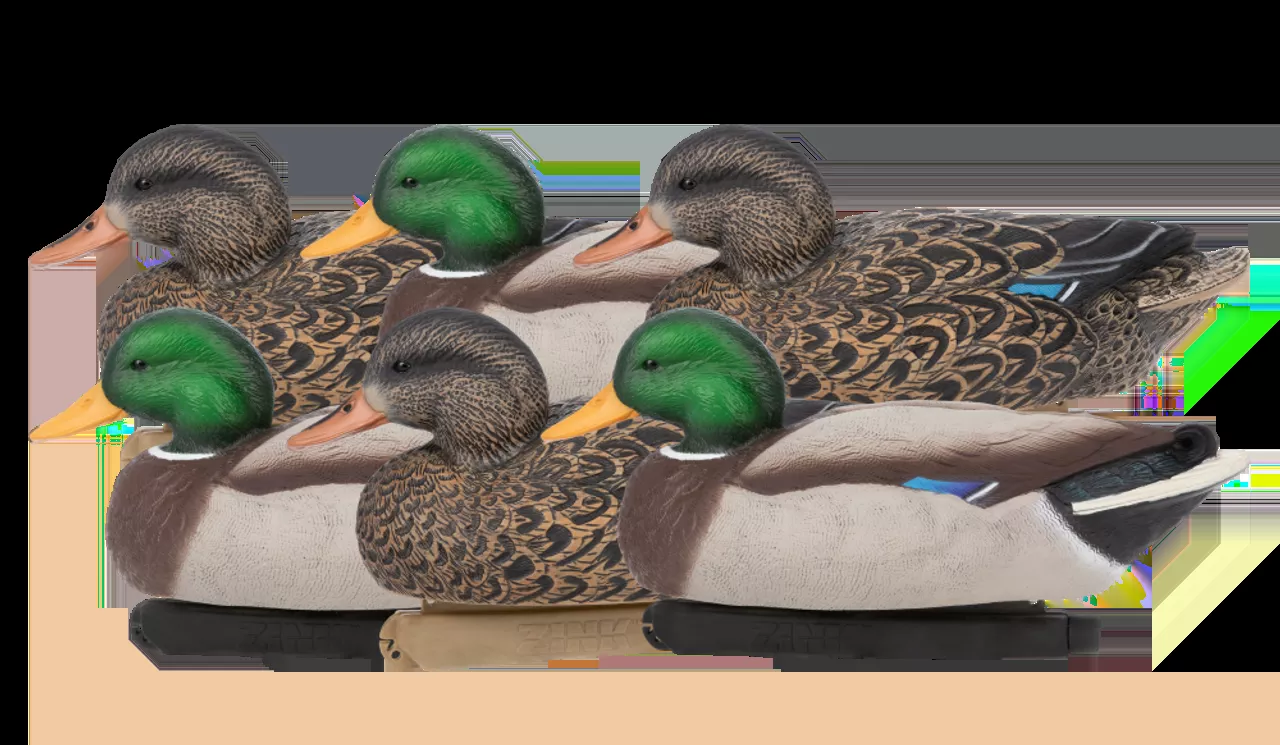 Zink Floater Decoys - Mallards 6 Pack